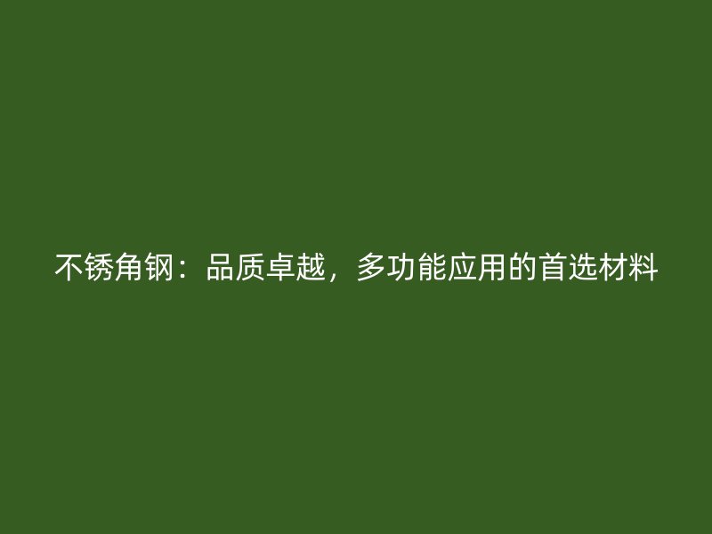 不銹角鋼：品質卓越，多功能應用的首選材料