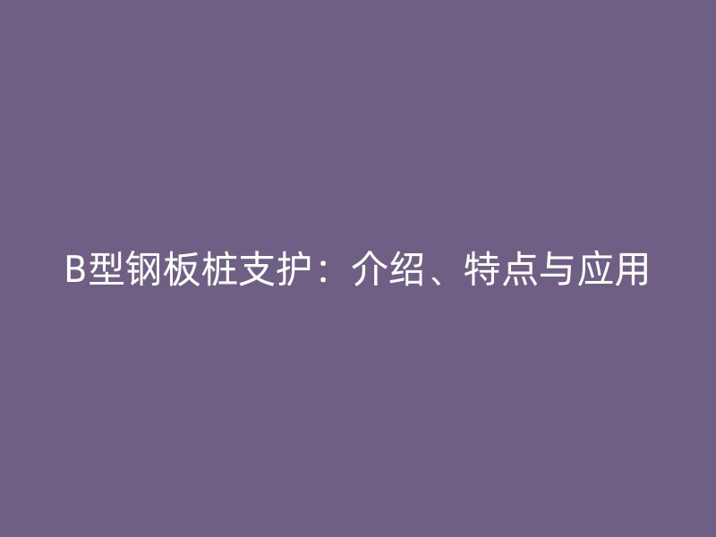 B型鋼板樁支護(hù)：介紹、特點(diǎn)與應(yīng)用