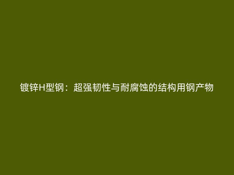 鍍鋅H型鋼：超強韌性與耐腐蝕的結構用鋼產物