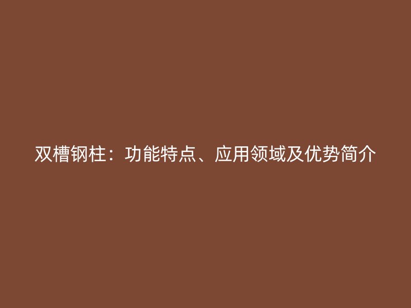 雙槽鋼柱：功能特點(diǎn)、應(yīng)用領(lǐng)域及優(yōu)勢簡介