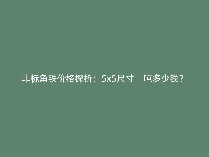 非標(biāo)角鐵價格探析：5x5尺寸一噸多少錢？