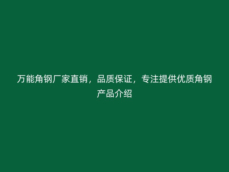 萬能角鋼廠家直銷，品質(zhì)保證，專注提供優(yōu)質(zhì)角鋼產(chǎn)品介紹