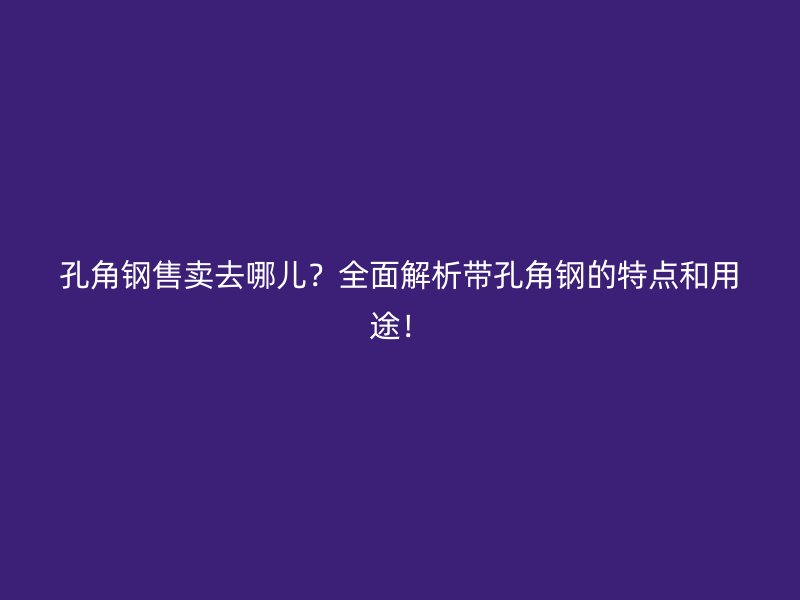 孔角鋼售賣(mài)去哪兒？全面解析帶孔角鋼的特點(diǎn)和用途！