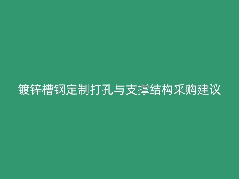 鍍鋅槽鋼定制打孔與支撐結(jié)構(gòu)采購建議
