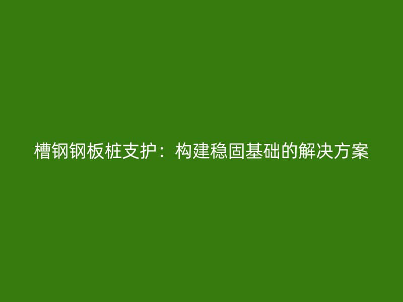 槽鋼鋼板樁支護(hù)：構(gòu)建穩(wěn)固基礎(chǔ)的解決方案
